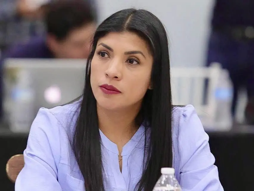 Verónica Rodríguez Hernández, presidenta estatal del PAN