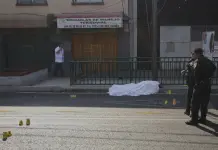 CDMX, tomada por cárteles: asesor de Trump; Sheinbaum le responde