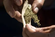 Aumenta 50% casos de narcomenudeo en SLP: SESNSP Aumenta 50% casos de narcomenudeo en SLP: SESNSP