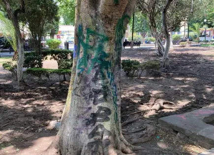 Fotos | Tras denuncias por abandono, atenderán jardín de Tequis