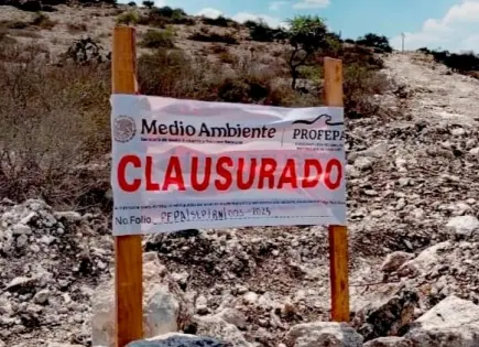 Clausura Profepa obras de proyecto extractivo en Corcovada