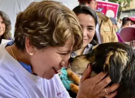 Perros rescatados buscarán hogar en la final Toluca vs América: "La mejor jugada es adoptar"