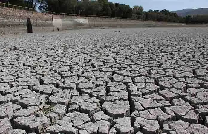 OCDE insta a políticas urgentes para prevenir impacto de sequías a nivel global
