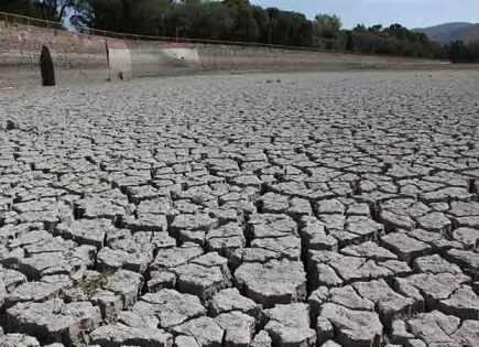 OCDE insta a políticas urgentes para prevenir impacto de sequías a nivel global