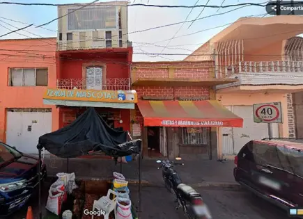 Aseguran 200 animales en tienda de mascotas