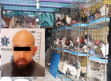 Un detenido, tras decomiso de 200 animales en tienda de mascotas
