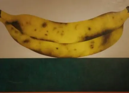 Se puede lograr comerse al mundo en esta exposición de arte Se puede lograr comerse al mundo en esta exposición de arte