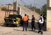 Hallan hombre sin vida en la colonia viveros