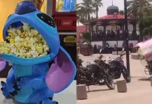 Palomeras fantasma causan revuelo en Tultepec