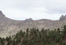 Sierra de Guadalupe celebra 35 años como Área Natural Protegida