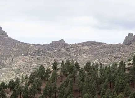 Sierra de Guadalupe celebra 35 años como Área Natural Protegida