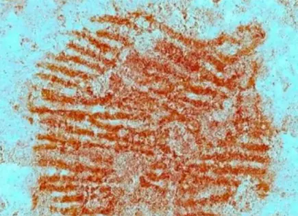 Descubren la huella dactilar más antigua del mundo