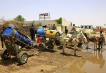 Crisis de cólera en Sudán: Impacto y Acciones de MSF