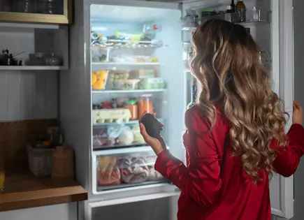 Cómo silenciar un refrigerador ruidoso y hacer que gaste menos luz