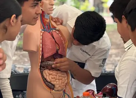 Buena respuesta a Feria Extramuros