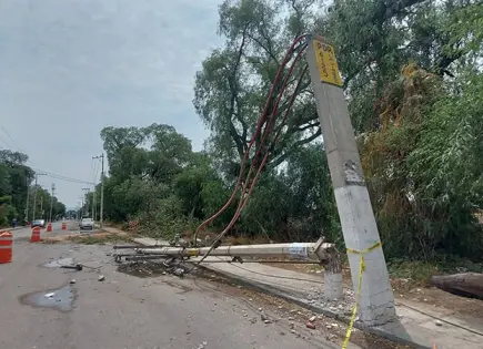 Primeras tormentas derribaron 45 árboles
