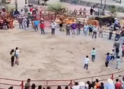 Video | Amarran pirotecnia a dos gatos en rodeo de Guanajuato