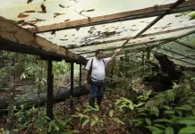 ¿Qué pasaría si la selva amazónica se secara?