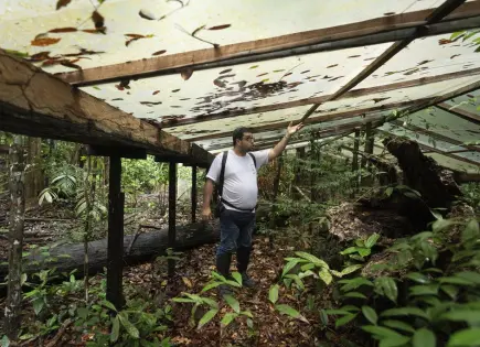 ¿Qué pasaría si la selva amazónica se secara?