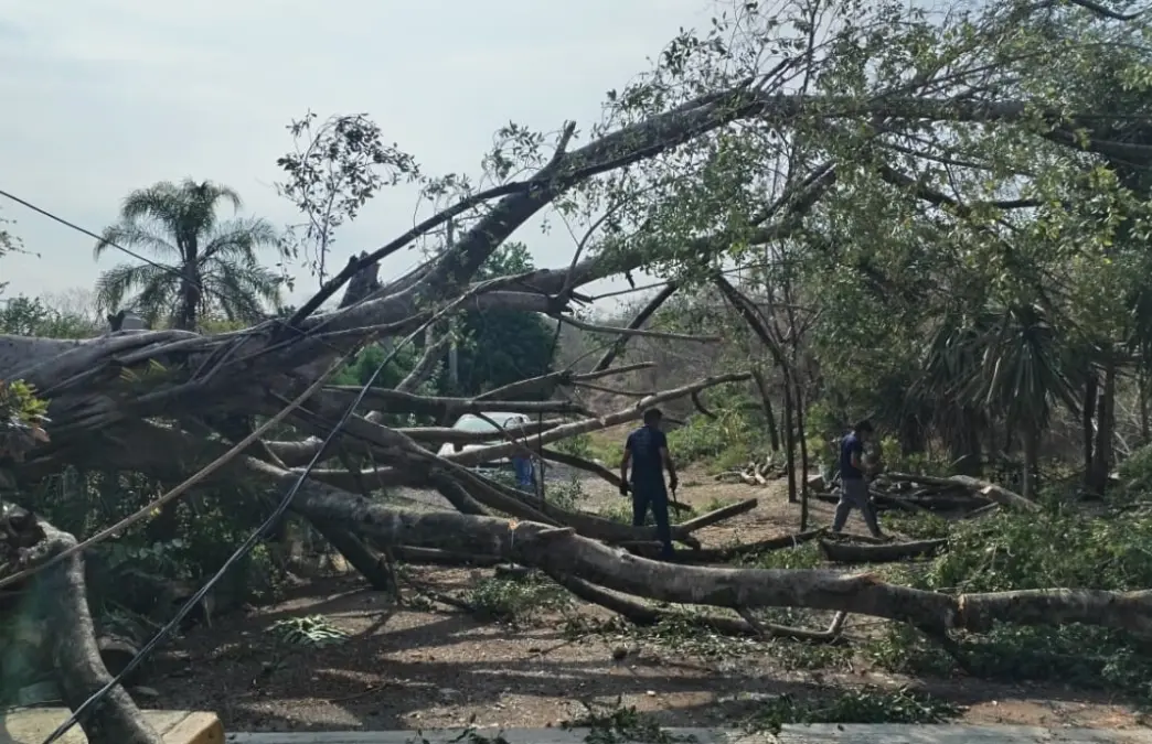 Fotos: Huasteca Hoy