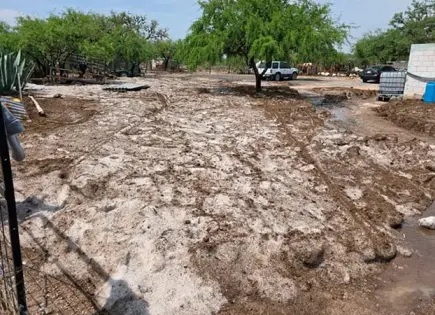 Tromba causa severos daños en Charcas y Venado