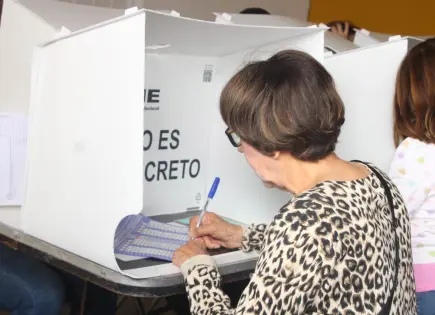 Observadores electorales extranjeros destacan participación ciudadana