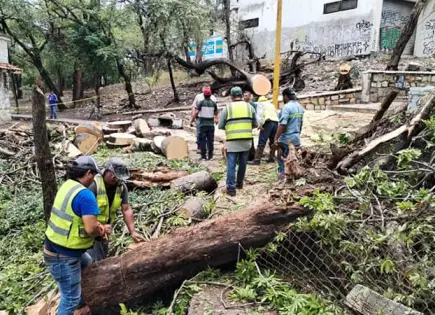 Reparan los daños causados por tromba