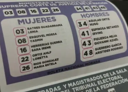 INE: No es delito llevar acorde&oacute;n a casillas electorales