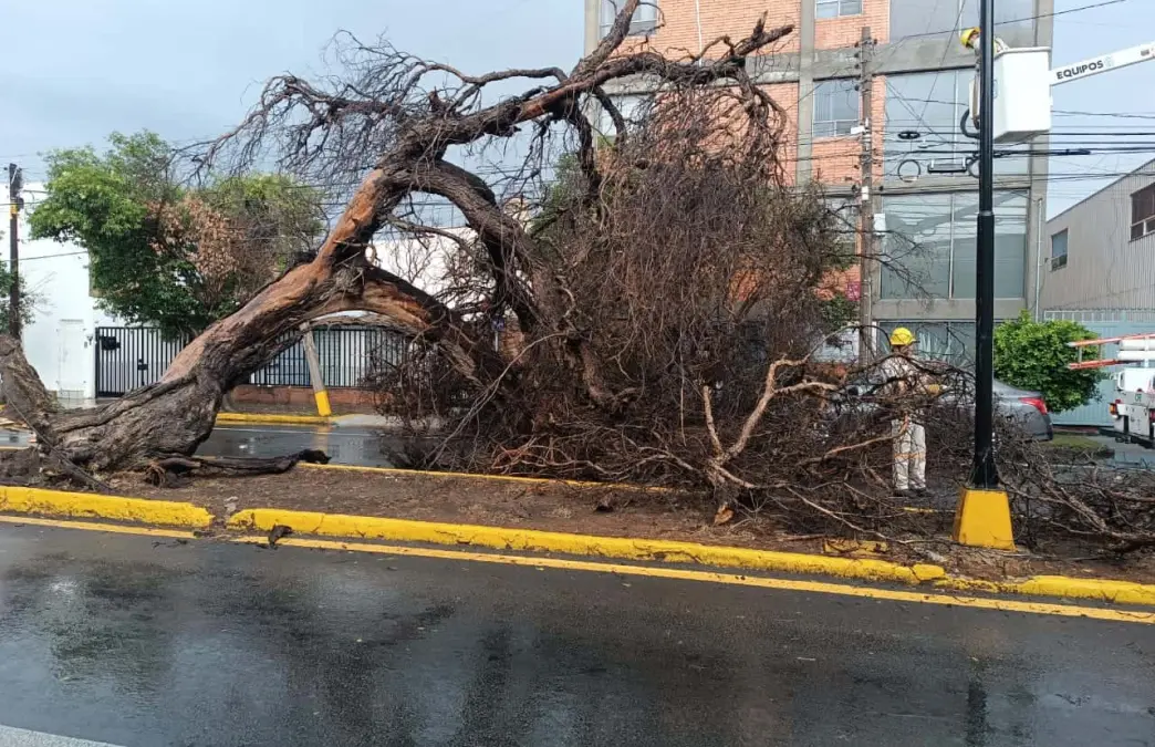 Calle Mariano Jiménez