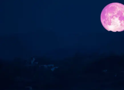 La Luna de Fresa brillará el 11 de junio: esto es lo que debes saber