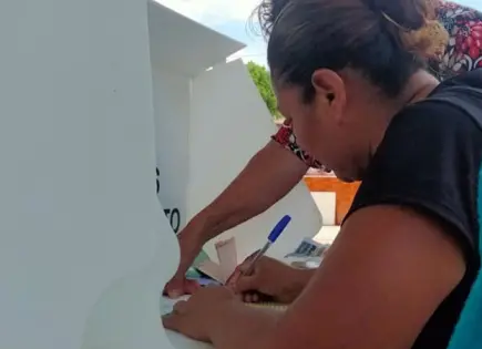 Mujer "orientaba" a las féminas por quién votar