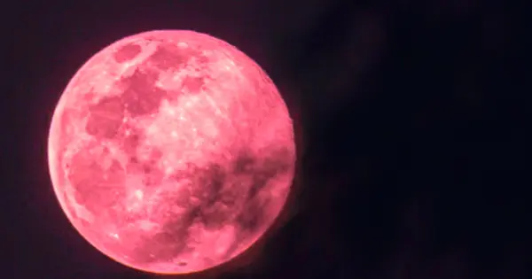 ¡No te lo pierdas! La Luna de Fresa 2025 iluminará México: Guía completa y fechas