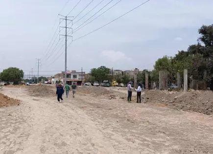 Arrasan con área verde en Sauzalito; involucran a Seduvop