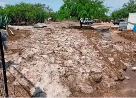 Lluvias recientes aminoran sequía en municipios