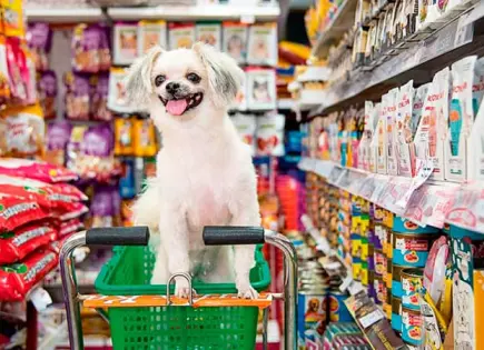 Crecen ventas de alimento para mascota