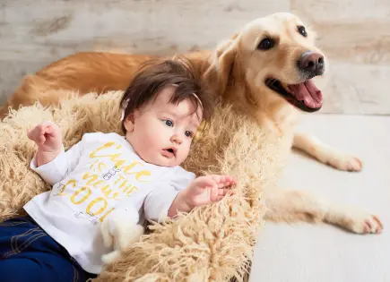 Beneficios de tener perros para el desarrollo emocional de los niños