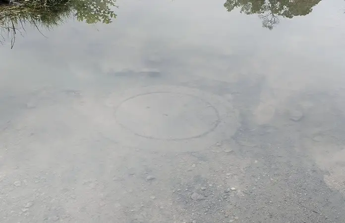 Descubre cómo aprovechar el agua de lluvia recolectada en tu hogar