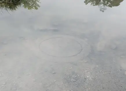 Descubre cómo aprovechar el agua de lluvia recolectada en tu hogar
