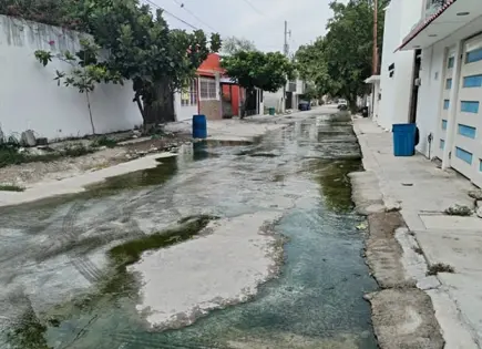 Colonia Lomas Poniente inundada de aguas negras