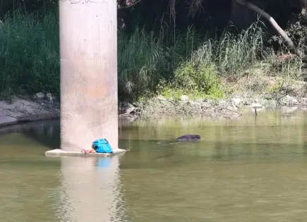 Localizan a un hombre sin vida en el río Valles