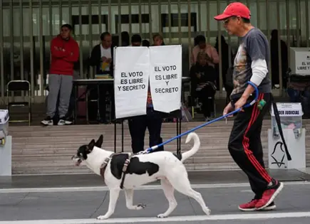 La OEA critica elección judicial