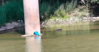 Encuentran a hombre sin vida en el río Valles