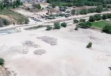 Seduvop debe plantar 600 árboles por tala para obra en Río Santiago: Arreola