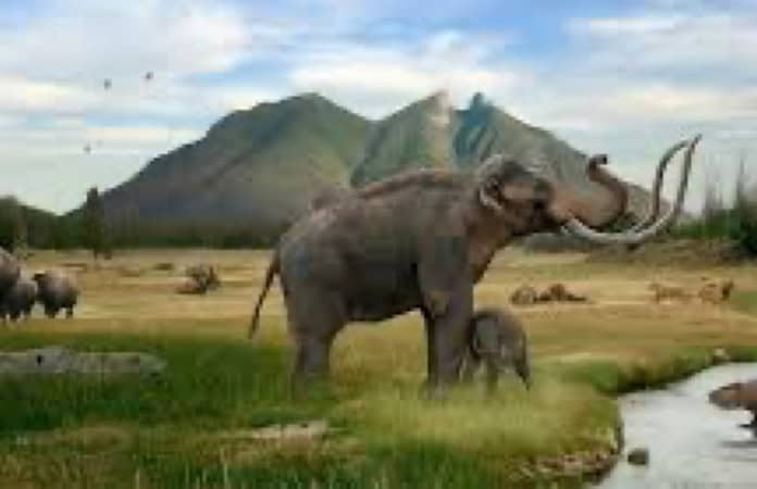imagen carrusel