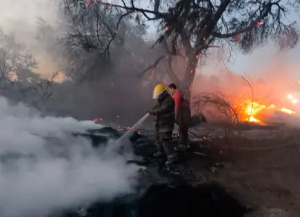 Pepenadores provocan incendio en basurero