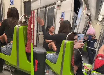 Vagón del Metro se convierte en escenario de karaoke con La gata bajo la lluvia