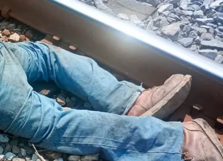 Hombre pierde la vida arrollado por el tren