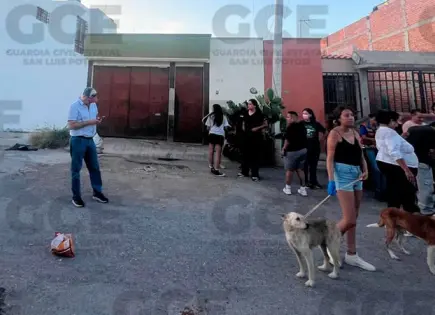 Rescatan a 18 perros maltratados