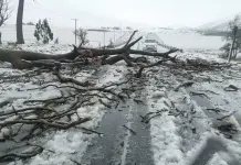 Inundaciones en Sudáfrica dejan al menos 49 muertos Inundaciones en Sudáfrica dejan al menos 49 muertos
