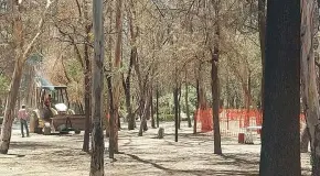 Con amparo paran obras en Morales